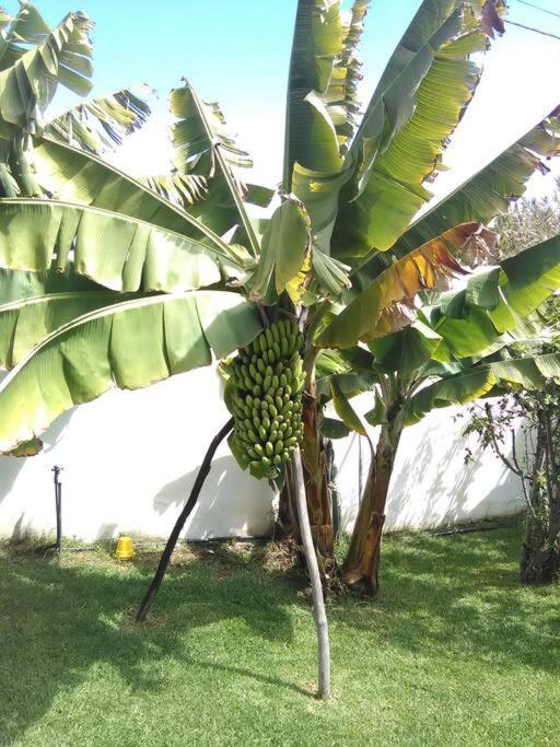 Privado, Piscina, Wifi Al Mejor Precio Hébergement de vacances *