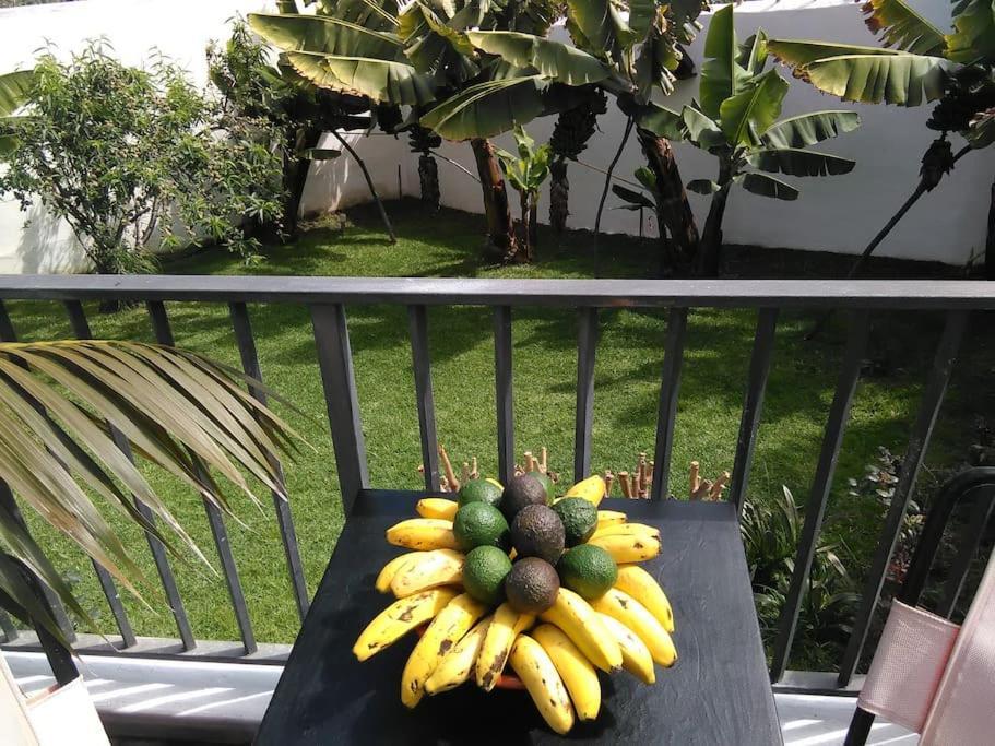 Hébergement de vacances Privado, Piscina, Wifi Al Mejor Precio